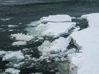 crushed ice floe, floating on the water surface © Natalia