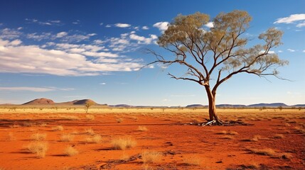 Outback scenery  