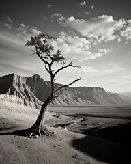 A black and white picture a desert with mountains, sahara wallpaper, a dried tree, tree trunk,...