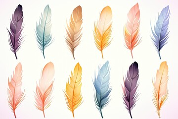 A Collection of Vibrant Colored Feathers on a White Background