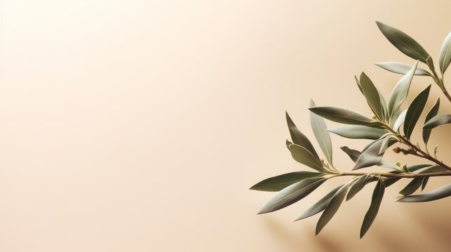Tea tree branch. Background with place for text.