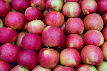 red ripe apples as background