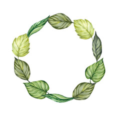 Watercolor frame with green leaves isolated on white background. Illustration of a wreath for cards, invitations. Eco theme, ecology and eco-friendly.