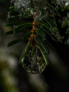 Christmas Ice 