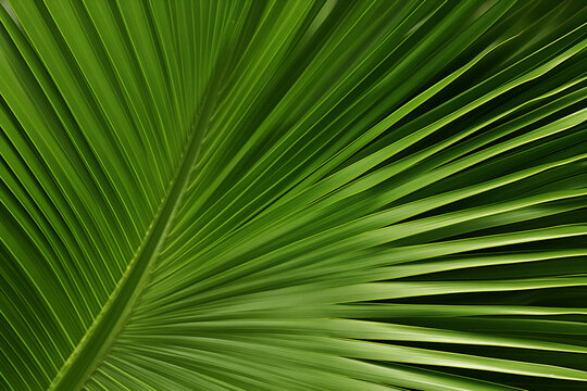 Fresh palm tree leaf background - AI generated image
