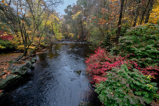 Connecticut Fall Colors