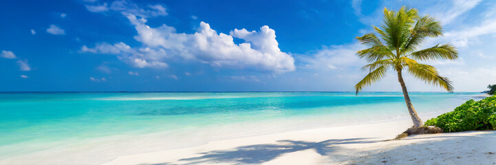 Fototapeta premium Sunny tropical Caribbean beach with palm tree and turquoise water