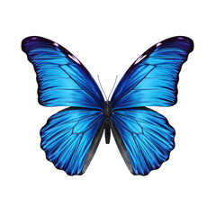 Beautiful blue morpho butterfly symmetrical isolated background