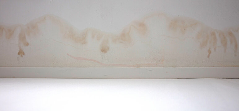 Stains on ceiling and wall from water leak