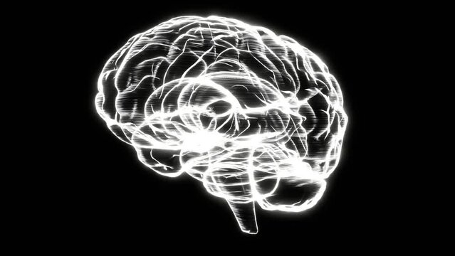 White hologram human brain on black background.
Bright SciFi style.Seamless animation. 
