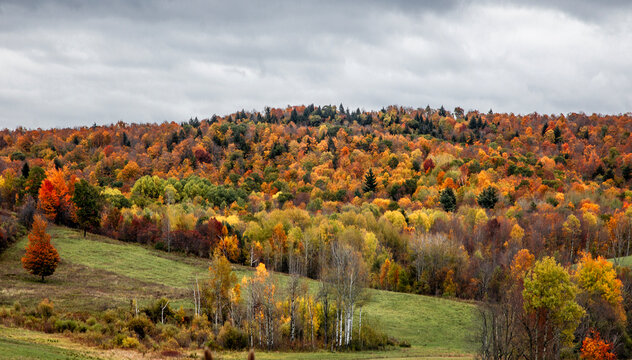 New York Farm