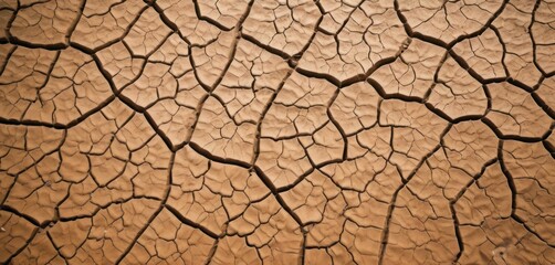  a close up view of a cracked surface of a dry river bed, with a small patch of dirt in the center of the image.