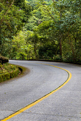 Small curve on the asphalt road in the middle of the forest.