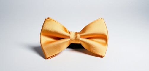  a close up of a yellow bow tie on a white background with room for text on the left side of the bow tie.