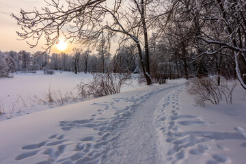 Winter sunset in Catherine park, Tsarskoe Selo (Pushkin), Saint Petersburg, Russia