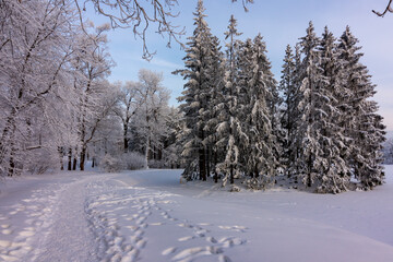Winter in Catherine park, Tsarskoe Selo (Pushkin), Saint Petersburg, Russia