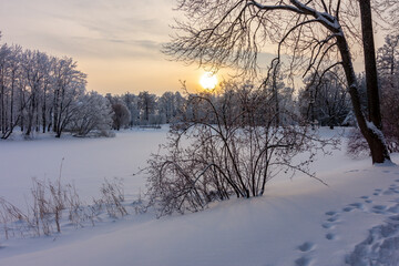 Winter sunset in Catherine park, Tsarskoe Selo (Pushkin), Saint Petersburg, Russia