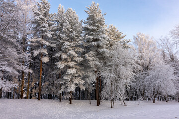 Winter in Catherine park, Tsarskoe Selo (Pushkin), Saint Petersburg, Russia