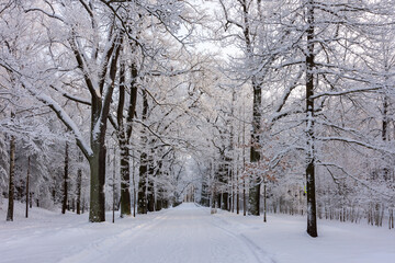 Winter in Catherine park, Tsarskoe Selo (Pushkin), Saint Petersburg, Russia
