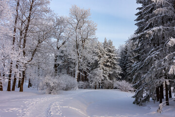 Winter in Catherine park, Tsarskoe Selo (Pushkin), Saint Petersburg, Russia