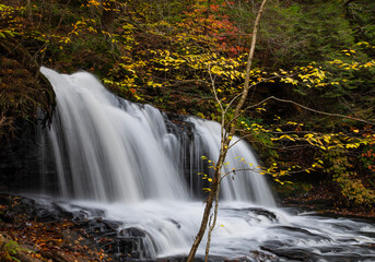 Ricketts Glen State Park