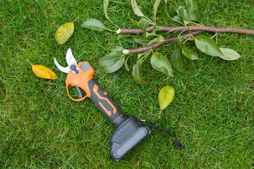 Electrical manual secateur on a lawn with cutted twigs, branches of a tree. The concept of pruning...