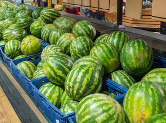 Watermelons on supermarket shelf or farmers market. Fresh organic water melon fruit for sale in grocery store. Healthy fruit for diet, organic food, autumn harvest.