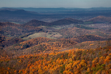 Fall In Virginia