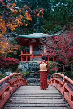 japanese temple and a geisha