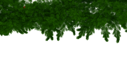  Christmas tree round border with green fir branches, isolated on transparent background. Pine, xmas evergreen plants circle frame. Vector ring string garland decor