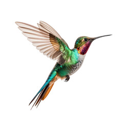 A close-up of a hummingbird in flight, capturing its rapid wing movement and iridescent colors