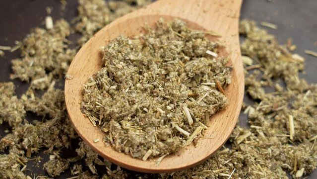 Dried Wormwood medicinal herbs (Artemisia vulgaris) in wooden spoon. Mugwort dry plant