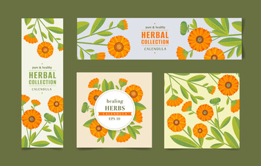 Vector drawing of calendula. Isolated flower and leaves. Detailed botanical sketch of tea, organic cosmetics, medicine, aromatherapy
