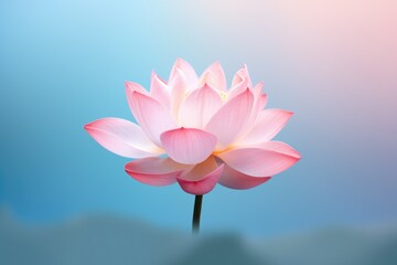 A beautiful pink flower with a vibrant blue sky in the background. Perfect for nature and floral designs