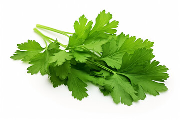 parsley, green leaves, isolated on white background