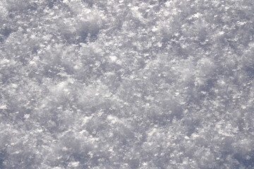 White snow, close-up, large ice crystals, snow-white perfect snowflakes lying on the ground