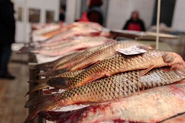 A School of Colorful Fish Swimming Around a Fishbowl on a Wooden Table