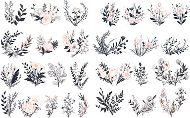 plant  art  nature  vector  design  floral  line   black  drawing  blossom white outline vintage spring summer  background isolated decoration set