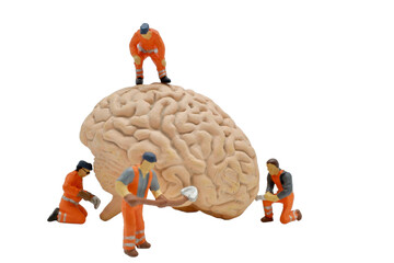 men at work miniature figurines on a huge human brain