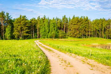 Fototapeta na wymiar Gravel road and forest near Postawele village in spring season , Suwalki Landscape Park, Podlasie, Poland