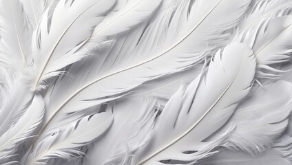 Background of elegant white feathers. The texture of light bird feathers. A voluminous pattern of elements. Desktop wallpapers.