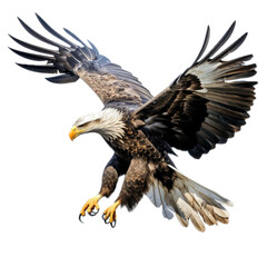 a Bald eagle in-flight, 3/4/side view, isolated and transparent PNG in a Nature-themed, photorealistic illustration. Generative ai