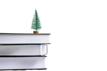 Small Christmas tree on stack of books white background.
