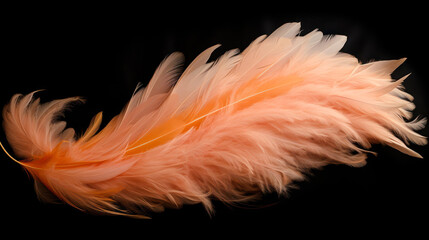 close-up of feather  soft plume  ,peach fuzz color of the year 2024 