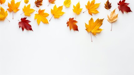 A white background is the background for a top view of autumn leaves.