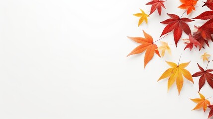 A white background is the background for a top view of autumn leaves.