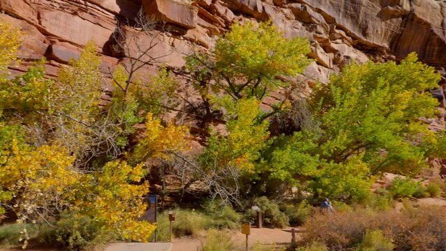 Establishing shot of mountain trail with red rocks background in Hickman Natural Bridge Trail, Capital Reef National Park, Utah, North America. Day time on October 2023. Still camera view. ProRes 422 
