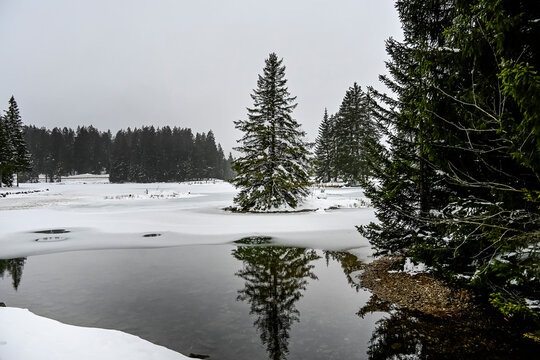 Lenzerheide, Valbella, Heidsee, Bergsee, Uferweg, Wanderweg, Winterwanderung, Langlauf, Loipe, Winterlandschaft, Seeufer, Alpen, Wald, Tannen, Eis, Winter, Graub&uuml;nden, Schweiz