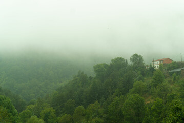 paisaje asturiano