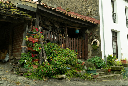casa bosque